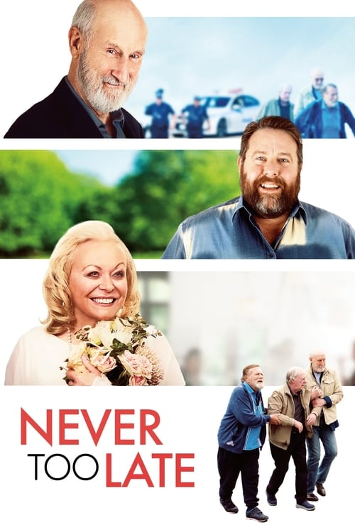 دانلود فیلم Never Too Late