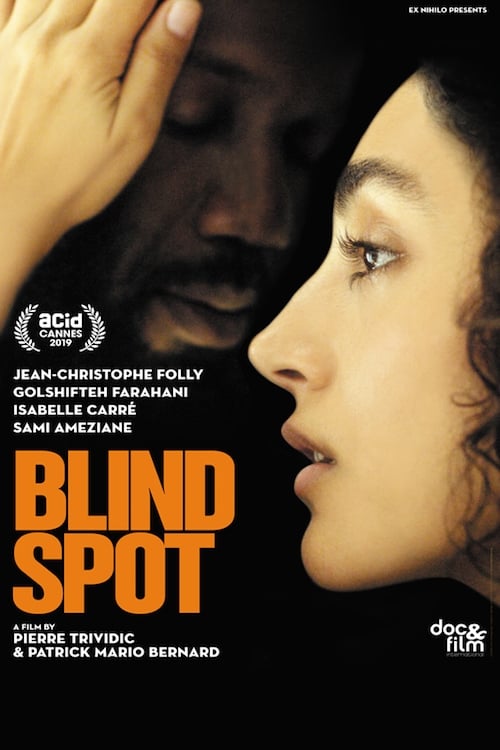 دانلود فیلم Blind Spot – نقطه کور