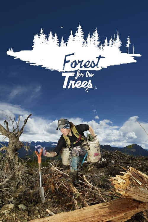 دانلود فیلم Forest for the Trees